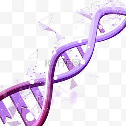 dna分子结构紫色螺旋闪光