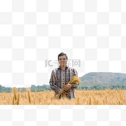 抱着麦穗的图片_麦田抱着麦穗的农民