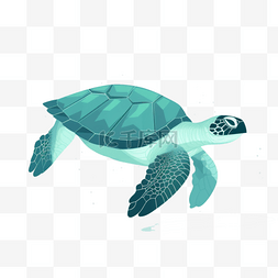 宠物海龟图片_可爱卡通手绘免扣动物扁平插画素
