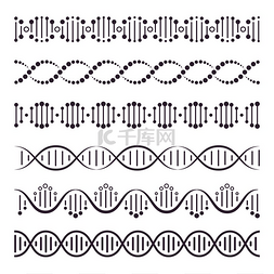 矢量染色体图片_螺旋螺旋染色体结构概念水平螺旋