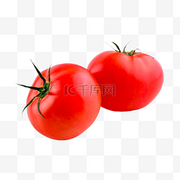 番茄植物红色蔬菜