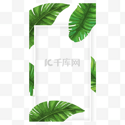 扁平夏季插画植物图片_边框水彩植物天然instagram