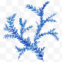 蓝晕染图片_水彩植物蓝色系叶片