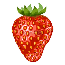 草莓叶图片_草莓的程式化插图。