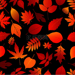 红色叶子秋天图片_五颜六色的秋叶无缝图案与红色、