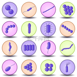  紫色球菌、芽孢杆菌、圆形弯曲