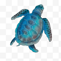 海龟海洋水彩畅游