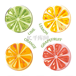 采购产品绿色多汁的石灰，柠檬，阳光多汁的橘子，柚子整套和切果。色彩艳丽的柑橘类水果。平面矢量图解.
