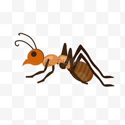 褐色小蚂蚁图片_矢量小蚂蚁