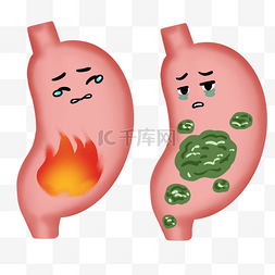 牛消化系统解剖图图片_胃酸胃热胃胀消化不良