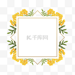 黄色复古质感背景图片_艾菊花卉水彩浪漫边框