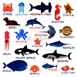 鱼蟹图片_海洋馆的动物和鱼类。