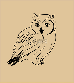 动物眼睛手绘图片_猫头鹰手绘制，黑色和白色