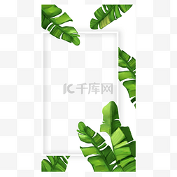 平铺背景图片_边框水彩绿色植物instagram