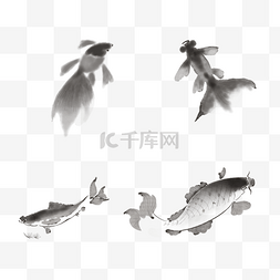 有意境图片_水墨鱼锦鲤金鱼中国风鲤鱼动物鱼