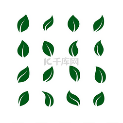ai绿色矢量图标图片_平叶套装绿色简单的森林树叶纯素