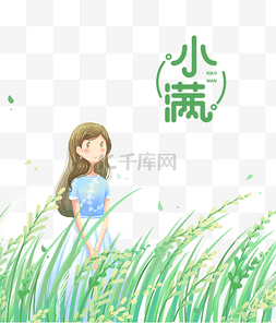 二十四夏至图片_小满二十四节气24节气传统节气夏