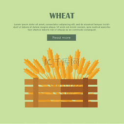 平面样式设计中的小麦矢量网页横