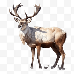 卡通手绘野生动物鹿