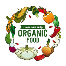 农业海报图片_蔬菜和绿色沙拉矢量圆形海报蔬菜