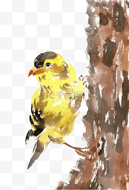 攀爬图片_黄色的小鸟