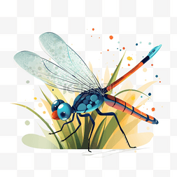 卡通可爱蜻蜓图片_扁平插画手绘免抠元素蜻蜓