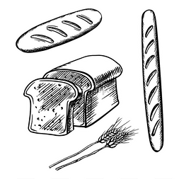 面包白色图片_切片面包、长面包和带有成熟麦穗