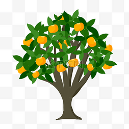 连翘卡通图片_挂门橙子卡通水果树