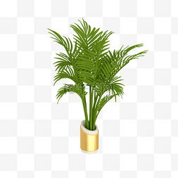 3d植物素材图片_C4D立体黏土植物盆栽绿植树叶