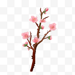 粉色杏花树枝
