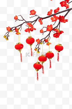 摄影梅花图片_喜迎新年梅花灯笼挂饰