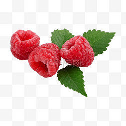 水果树莓图片_树莓完整水果健康