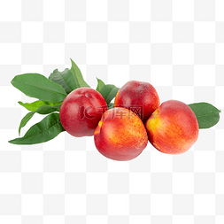 新鲜水果油桃