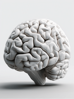 立体人体图片_白色大脑人体器官3D元素