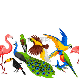 无缝图案搭配热带珍禽丛林和热带雨林的野生动物无缝图案搭配热带珍禽