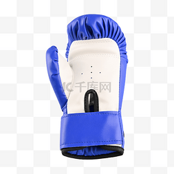 拳套训练格斗保护蓝色