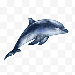 微笑的蓝色水彩海豚