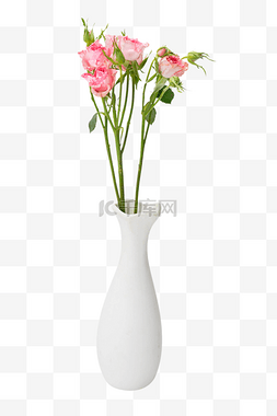 泡泡玫瑰玫瑰花花瓶