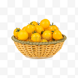 黄色西红柿图片_黄色西红柿果蔬