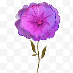 紫红色抽象水彩漂亮花卉