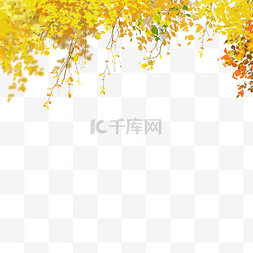 秋天风景树叶