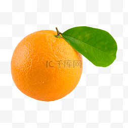 果汁橙子图片_橙子果实维他命
