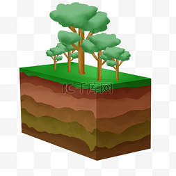 土地层次图片_土壤绿色树木