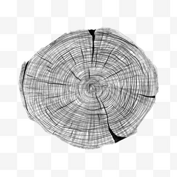 树年轮纹理图片_树环木质纹理风格