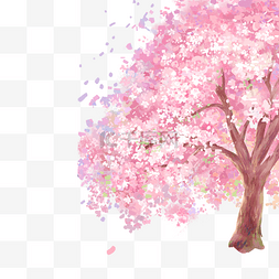 春季樱花树樱花季