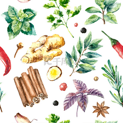 Watercolor seamless pattern of fresh herbs an