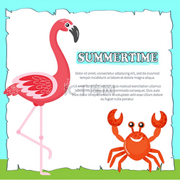 螃蟹和海图片_螃蟹和粉红色的火烈鸟矢量，热带