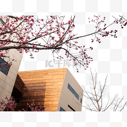 带领参观图片_植物建筑上海世博会博物馆参观
