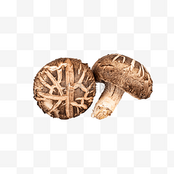 香菇菌菇