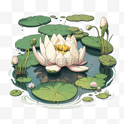 卡通手绘莲花荷花荷叶池塘插画
